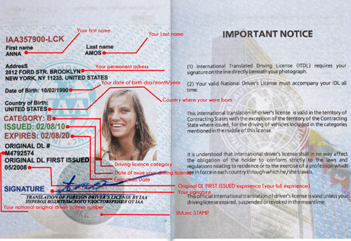 Unofficial International Driving Document