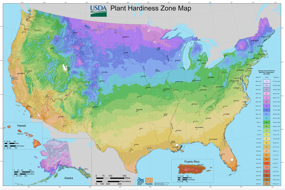 A map of plant hardiness zones in the United States