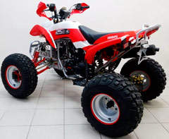 Irbis ATV250S